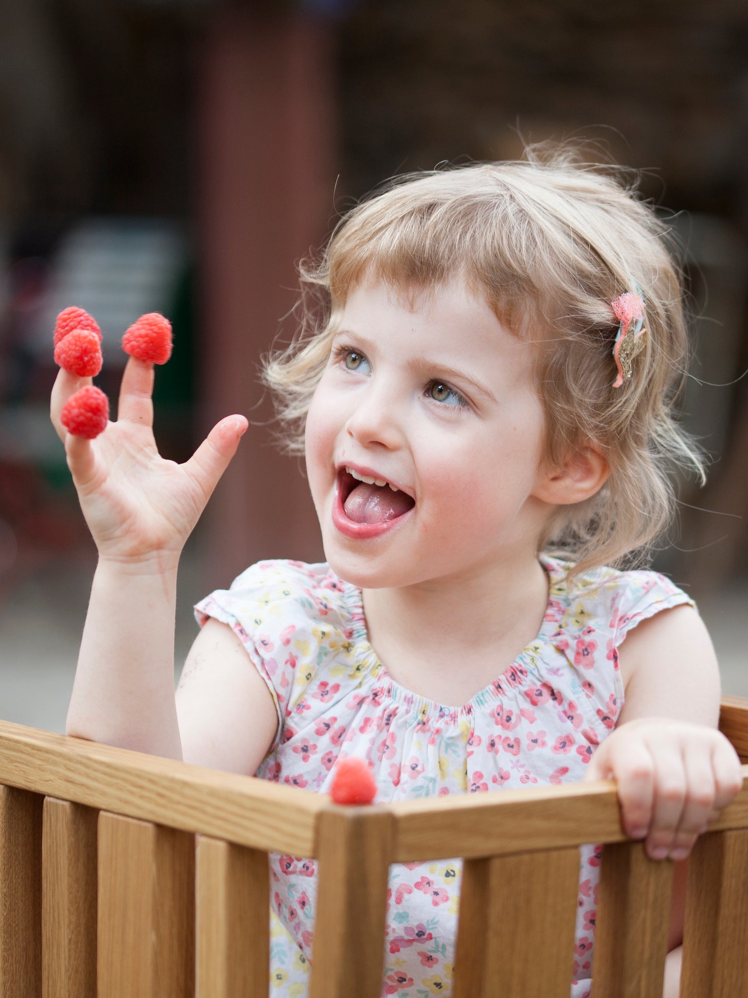ZAUNKÖNIG® Geschenkgutschein
