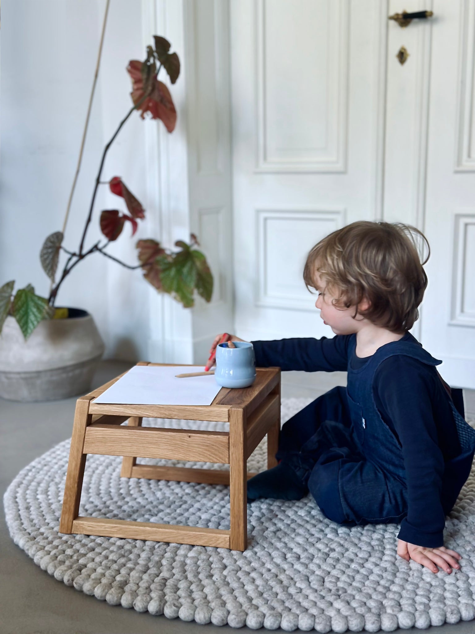 ZAUNKÖNIG® Mini