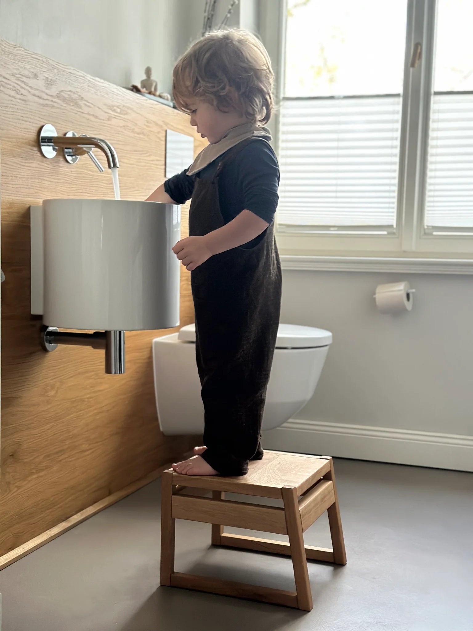 ZAUNKÖNIG Mini