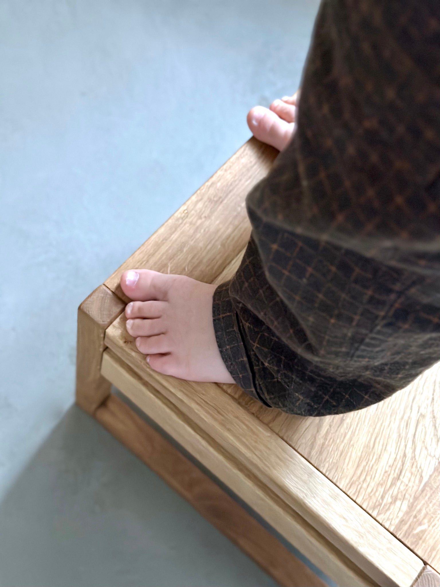 ZAUNKÖNIG® Mini