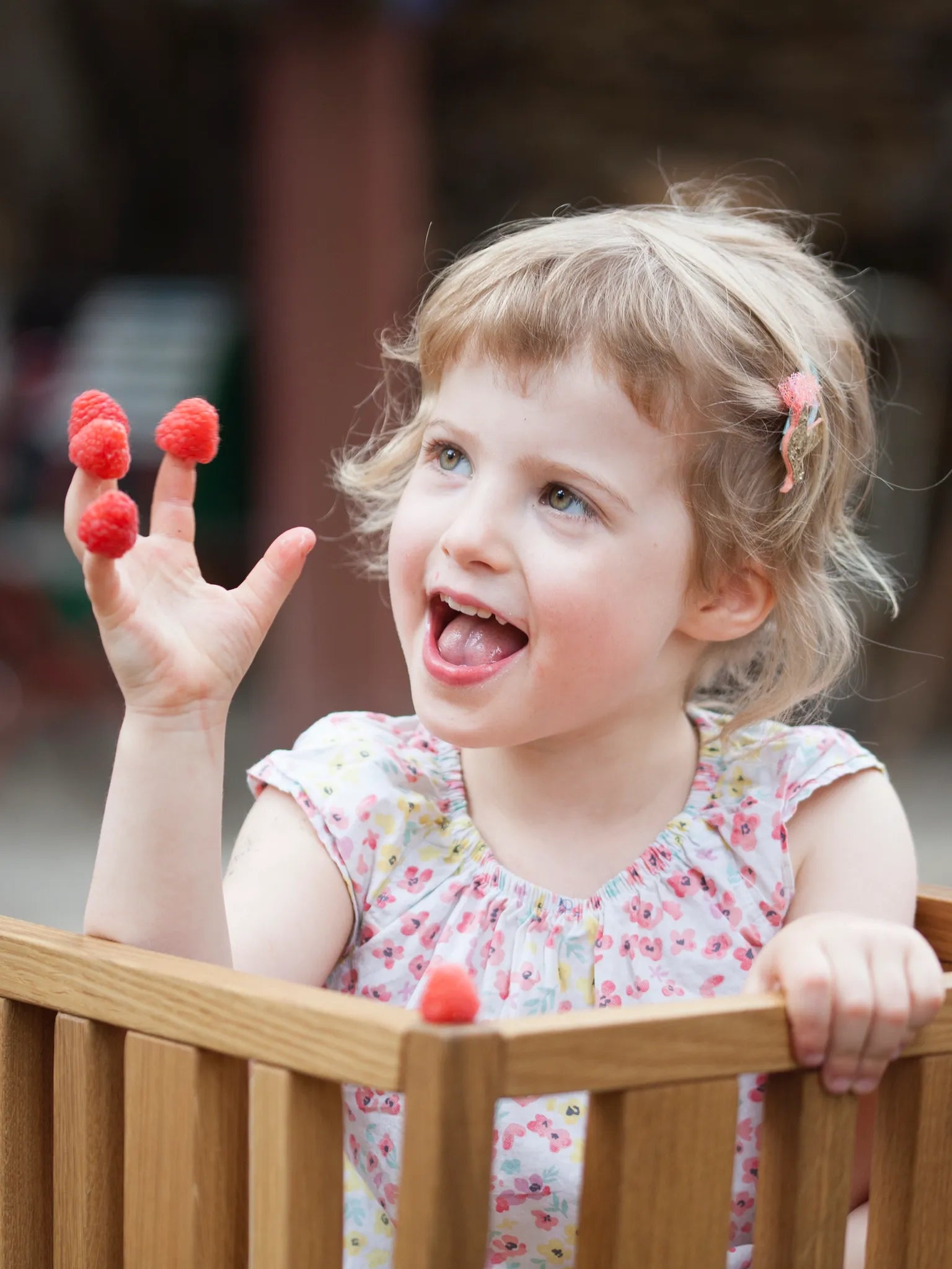 ZAUNKÖNIG Geschenkgutschein