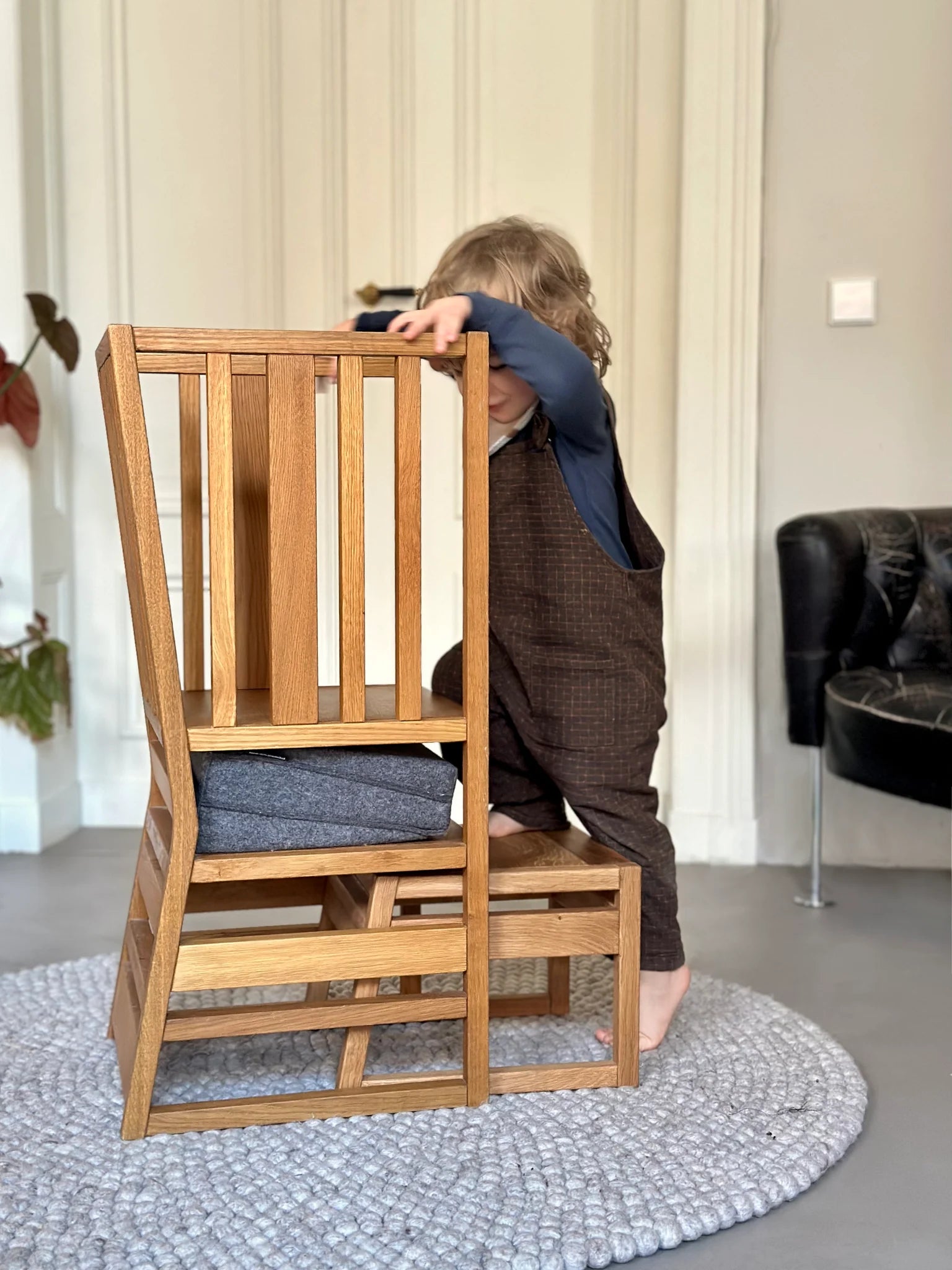 ZAUNKÖNIG Mini